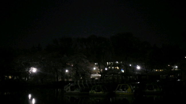 井の頭公園 日中の喧騒を忘れてしっとり夜桜散歩 吉祥寺 三鷹 東京 の旅行記 ブログ By つるまるこさん フォートラベル