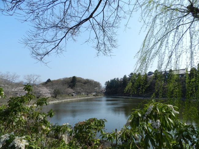 奈良ホテル前の池のほとりの桜。<br /><br />こちらは三分咲き程度でした。