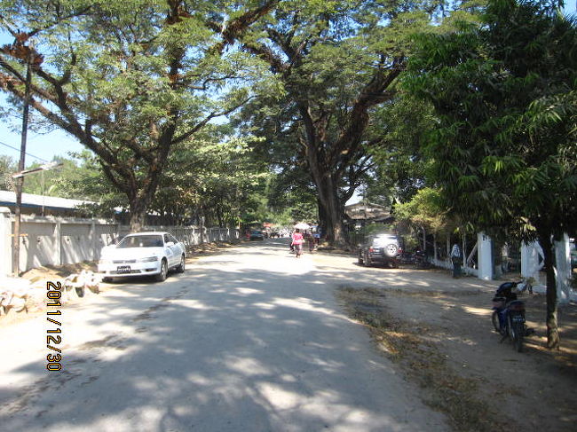 以前も感じたがこの町は大きな街路樹があって気持ちが良い。