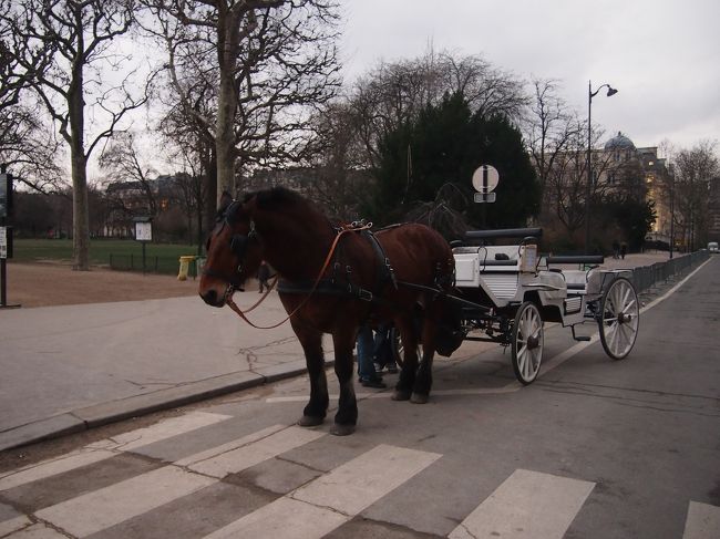 エッフェル塔のすぐ下のところで馬車発見…！<br />おとなしくしてました（＾＾<br /><br />…でも、やっぱり近くに行くと動物臭さは…ぷーんと…