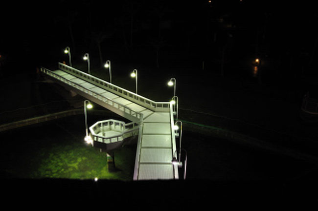 五階の十五号室。やや狭い、大人二人だったらきつい感じだが若いカップルにはいいかな。バルコニーからは、夜だから池の橋が見えるのみ。遅くなったのでホテル内で夕食。