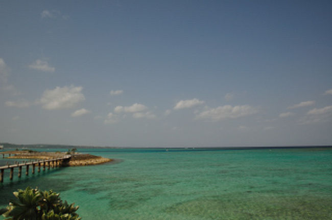 綺麗で穏やかな海。いくら見ても見飽きることがない。