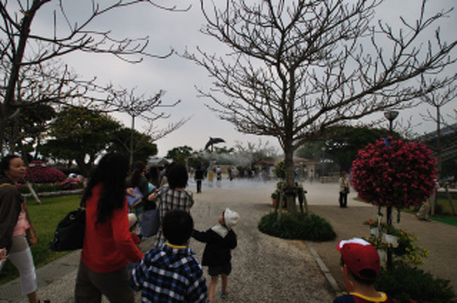 ところが昼前から風はあるが雨が上がった。日頃の行いがいいのがバレた？？
