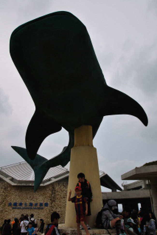 ジンベエザメはここのスター。