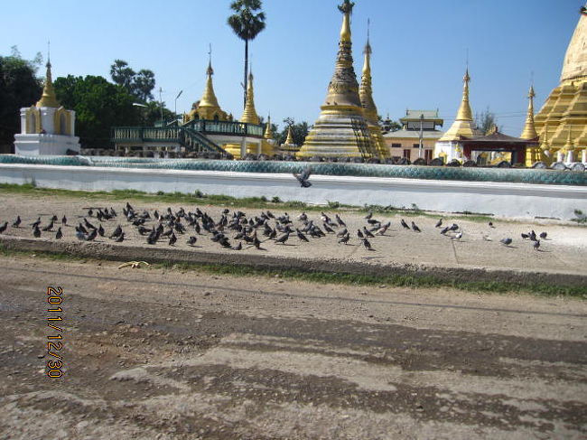 お寺はどこにもある。鳩がいっぱい集まっていた。