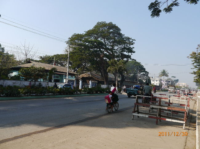 この大きな街路樹ともこれでお別れになる。
