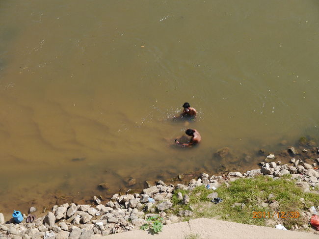 泳げる位の浅瀬だから、行ったり来たりは容易に違いない。