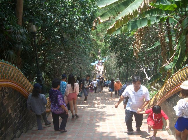 一番上から下を見ます、それ程辛い傾斜と長さでは無いようです。