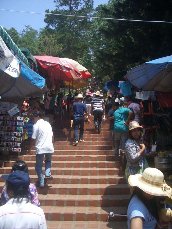 頂上に向かってパチリ