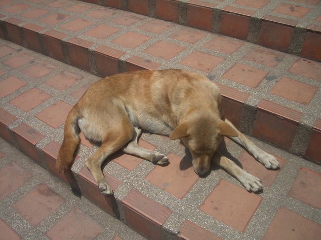 貴殿も暑ちぃのは苦手でござるか？