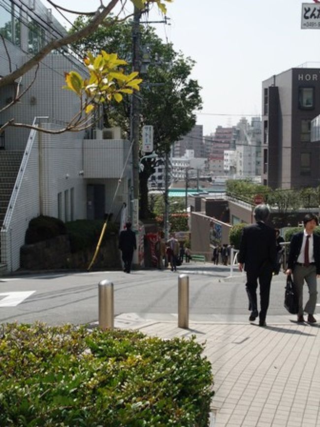 東京 桜紀行 満開の目黒川 桜吹雪の川沿いをひたすら歩く 歩く 中目黒 祐天寺 東京 の旅行記 ブログ By みかりさん フォートラベル