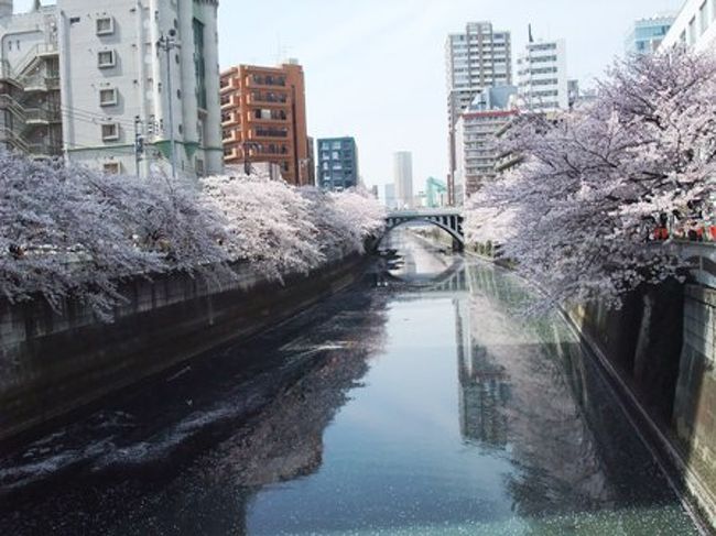 東京 桜紀行 満開の目黒川 桜吹雪の川沿いをひたすら歩く 歩く 中目黒 祐天寺 東京 の旅行記 ブログ By みかりさん フォートラベル