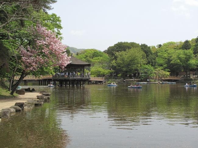 奈良公園は、京都から日帰りで観光できる。<br />今回のようにゴールデンウィークだと、奈良公園付近の道は渋滞になる。<br />はやめに出るのが良い。<br />