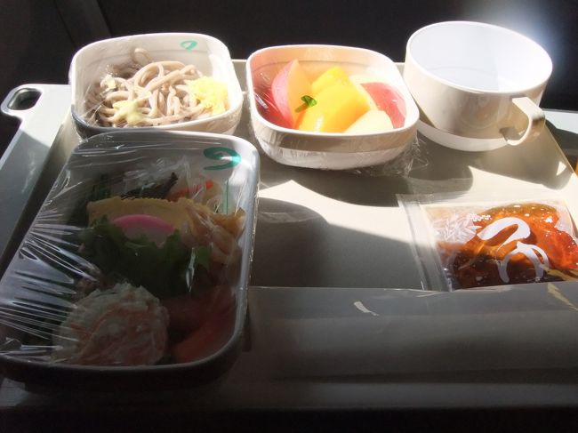 今日はバルクが取れたので快適♪<br /><br />機内食はいつものとおり。<br />