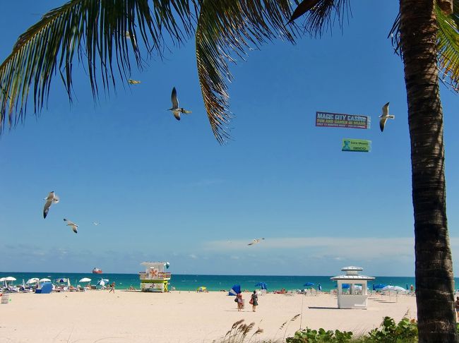 カモメも飛んでいるけど、あれは何？？？ <br /> <br /><br /><br />