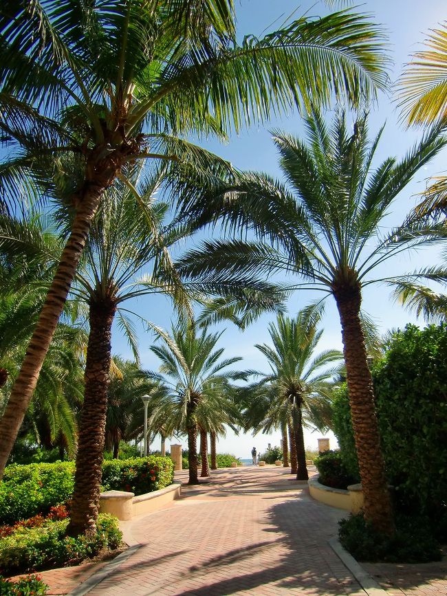 海岸を離れ・・・