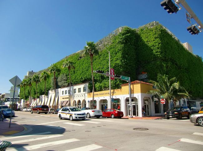 とってもエコな建物や・・・