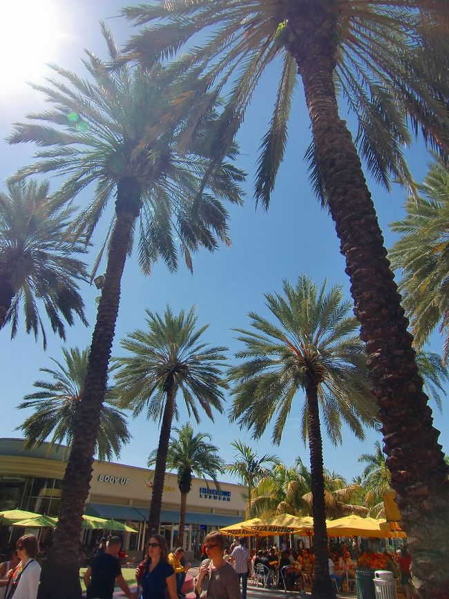 ランチの後はまたマイアミの街を散策。<br />それにしても、もうすぐ11月なのに・・・<br />マイアミは暑い！！<br />