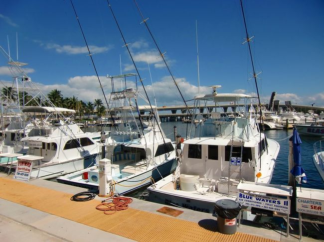 クルーザーも沢山停泊していて・・・
