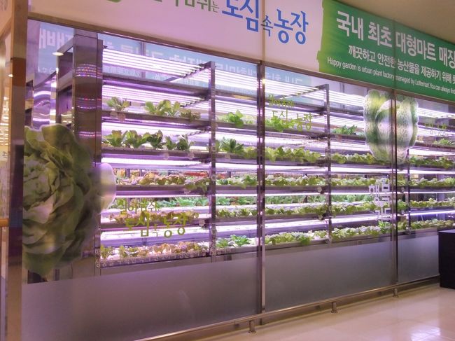 入国して、AREXでソウル駅へ。<br />今日はシロアムサウナに泊まります。<br /><br />お風呂とアカスリして就寝。<br />去年来た時、睡眠室が寒かったのでタオル多め＋ストールを準備して行ったた、今回は暑かった。。。<br />タオル１枚で十分でした。