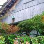 京都お花見ツアー（醍醐寺、鴨川、下鴨神社、平安神宮）