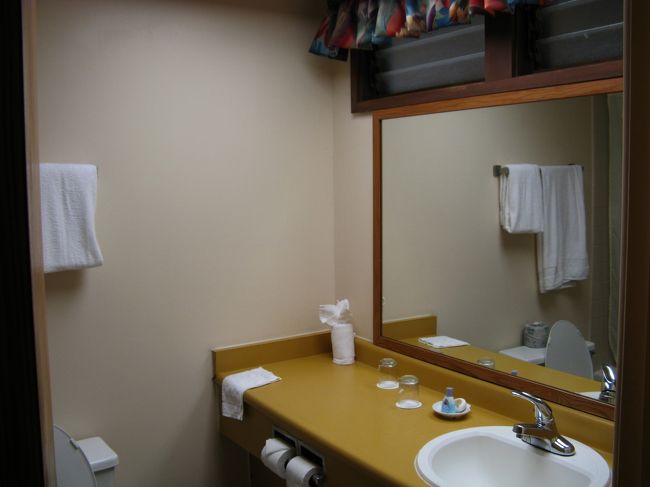 洗面所（左にバス、左下に便器です）夜でも時間差有りましたがシャワーはHotになりまずますでした。