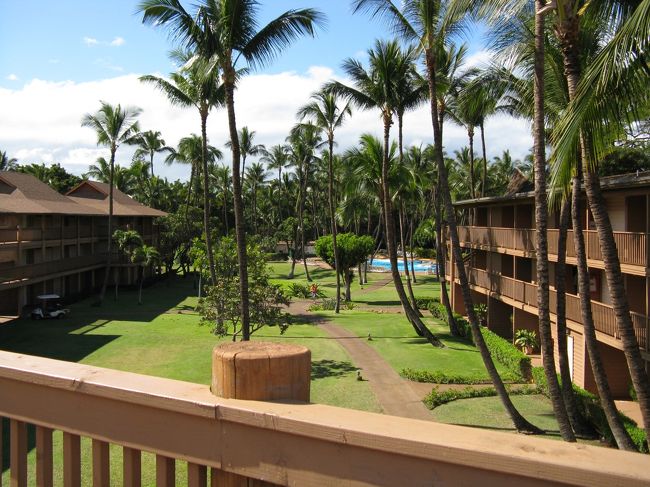 自分は入りませんでしたがプールもあり、きれいな感じでした。もちろん泳いでる人もいました。