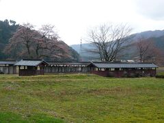 西山光照寺跡(石仏群)。