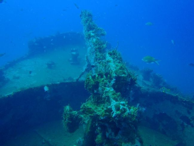 朽ち果てた軍艦の砲身です。