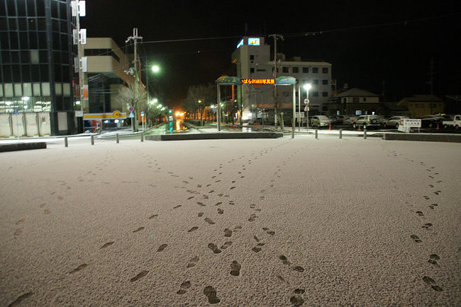 ●JR米原駅<br /><br />岐阜駅を過ぎたあたりから、外は雪景色でした。<br />関ヶ原周辺は、かなりの積雪でした。<br />乗継ぎの米原駅で時間があったので、嬉しがって、外に出てみました。<br />勿論、大阪に着くと、雪も無く、ただの寒い街でした(笑)。