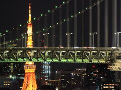 まずは真冬のお台場に場所取りへ。

事前勉強不足の為、どこから打上げられるか分かりません。
ベスポジと思しき場所は既に三脚がずらっと並んでます。

夏の花火大会に比べると人の出は少ないですが、カメラ・アングル的には30分前ではやや遅かった・・・かな。

シンボルプロムナードから虹橋と東京湾が重なる場所で待機します。