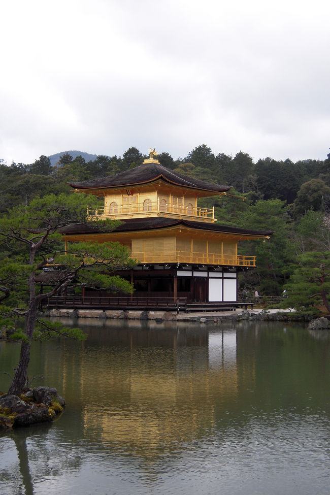 京都の桜♪そうだ 春の京都、歩こう(後編)。~妙心寺(退蔵院&大法院)、金閣寺を歩く~