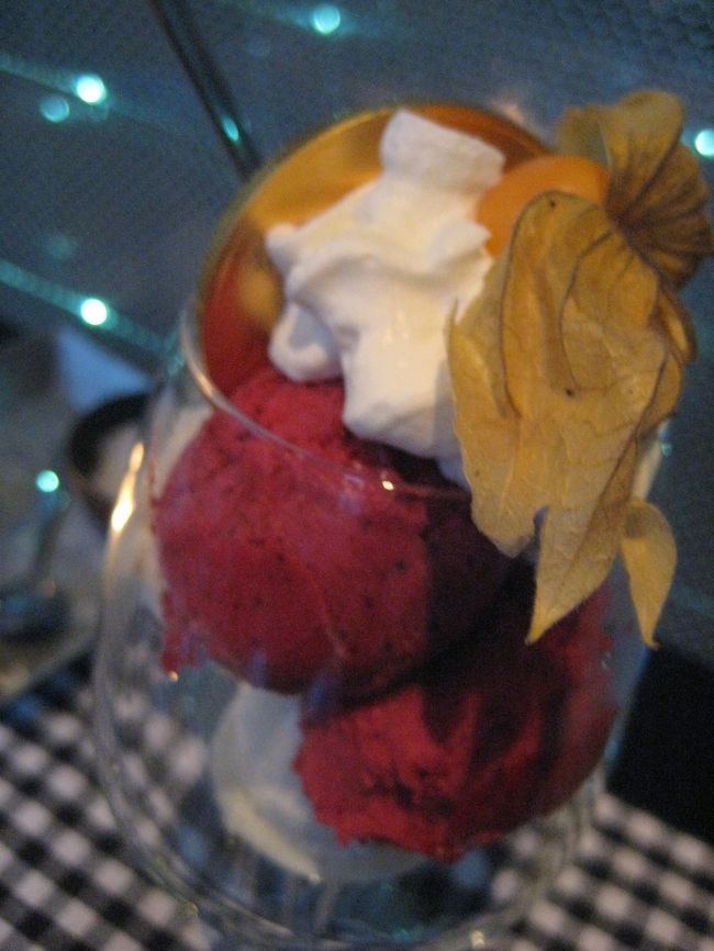 ６５クローネ<br /><br />晩餐会で出されるアイスクリーム<br />メダルチョコ付きです<br />カシスとバニラのアイスは晩餐会で供されるこってりとした（多分)料理の後に食べたら口の中もさっぱりとすることでしょう。