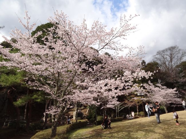広場では沢山の子供たちが走り回っていました。こちとら一人で幼児を追いかけまわしてふらふら。
