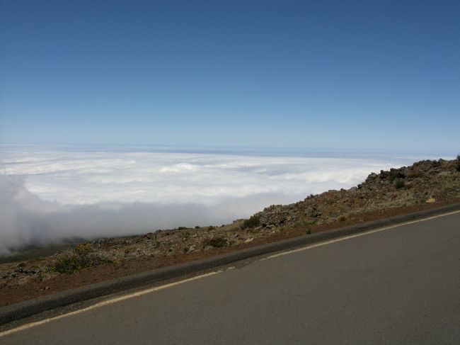 左折（右折）禁止で帰りしか寄れないビューポイントです。あまり人来ません。