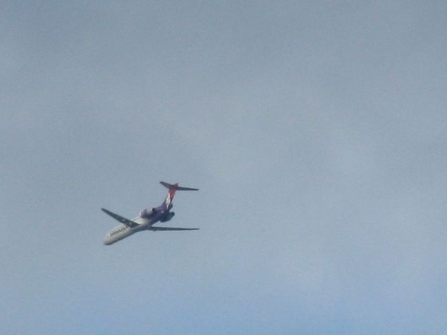 見上げるとカフルイ空港への最終着陸態勢の飛行機がどんどん来ます。