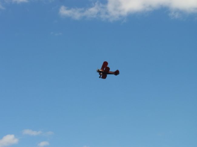 あ、鳥だ！<br />軽飛行機です。