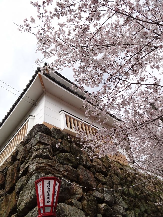 下から見上げると、それなりに映えますね。