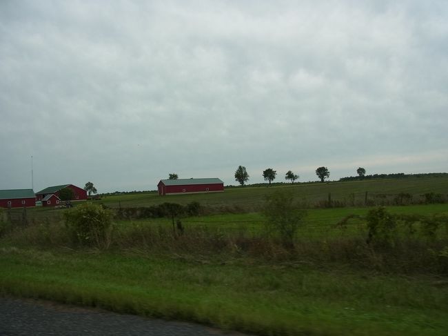 友人いわく、「スカンクの匂いがするでしょ？」<br />「？」スカンクの匂いと言われても、動物園で見たことは多分<br />あるとは思うけれど、匂いまでは嗅いだことないので、分からない。<br />「ロードキル」と言うそうで、車に轢かれる動物がとても多いそうです。<br />スカンクは匂いがかなり遠くても分かるそうです。<br />だいたいにおいて、動体視力非常に悪いというか鈍い私には<br />あっというまに過ぎ去る風景の中に気づく暇もありません。