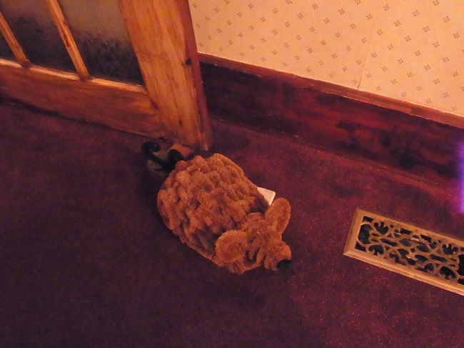 帰りに気がついた、入り口の扉のドアストッパー。<br />もこもこのねずみさんです。