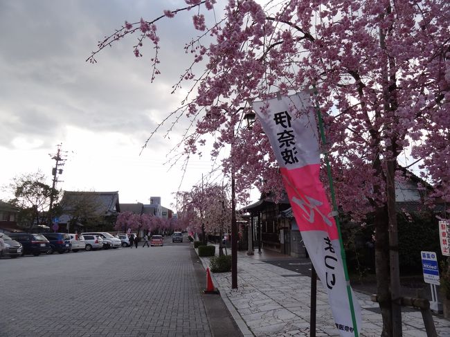 もう4時すぎているくらいなのですが、今日は一日天気が良く、まだまだ太陽も顔を出しているので桜も映えます。