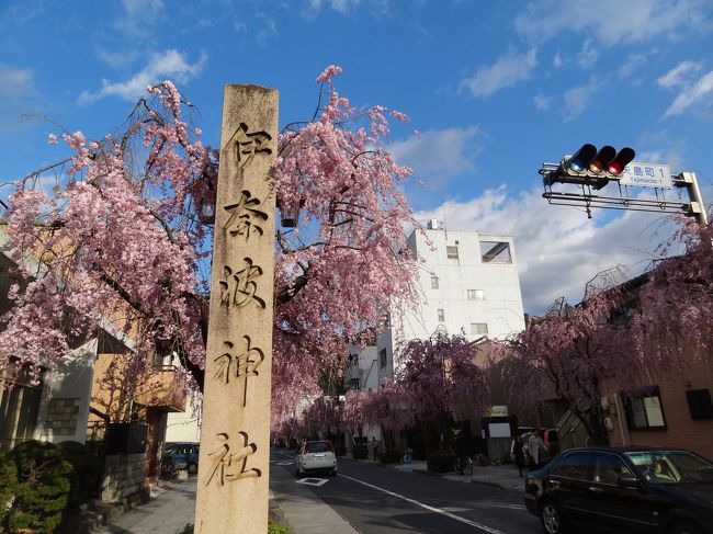 伊奈波神社、お宮参りにもきました。ここ最近、良く来る神社です。