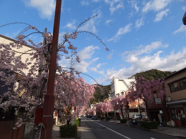 ほんとにピンクで素敵。