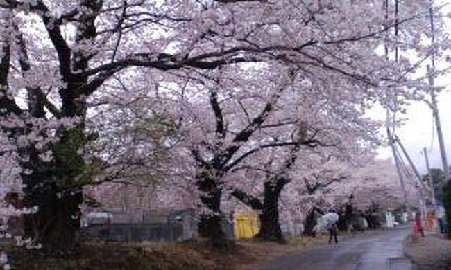 晴れてたらもっとキレイだったな〜