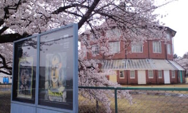 八ヶ岳南麓の清春小学校跡地にあり、敷地内に美術館や礼拝堂が建つ芸術村。<br />3階建て16角形のアトリエを囲むように、1925（大正14）年に植えられた約30本の桜が咲き誇る。<br />桜は山梨県指定文化財に指定されている。<br />