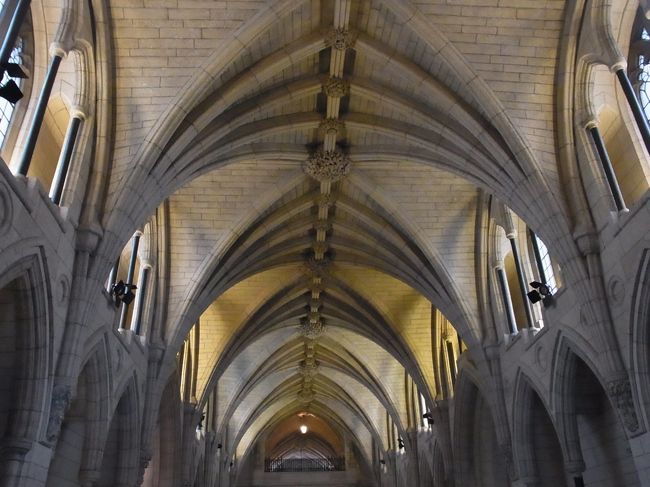 天井がネオゴシック。