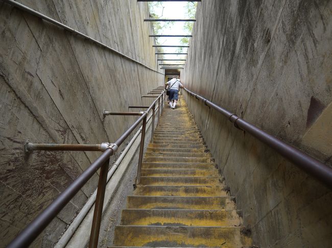 この階段はやだ！