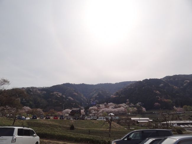 養老ＳＡから車で２０分ほど。霞ケ谷にやってきました。