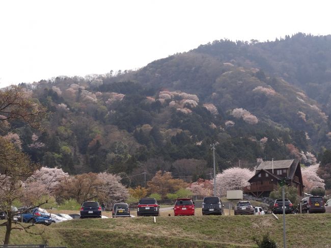 色々な色が混ざり合っているのがまた何とも言えず良し。