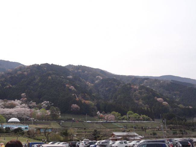 断層崖からなる池田山の東斜面を浸食して形成された渓谷で、地形は非常に急峻です。